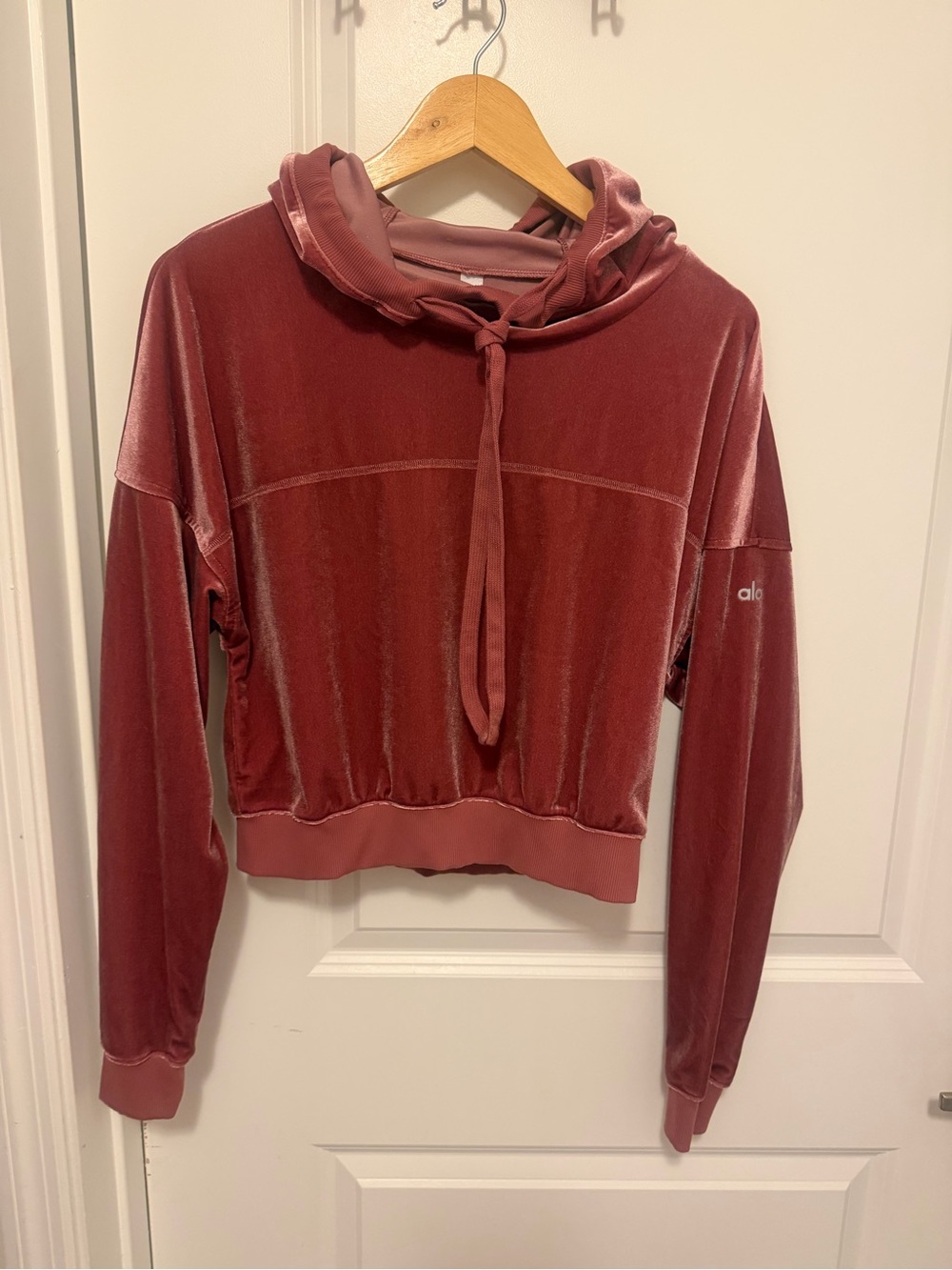 ALO Yoga Velour Cropped Hoodie in Rose